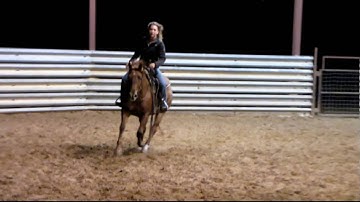 Valley View Ranch - Lectric TR Gal - lope, stop