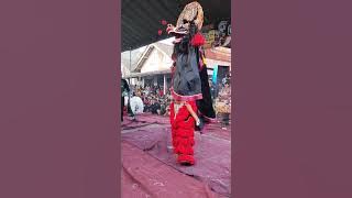 Geger geden🔥 Rampokan SINGO BARONG