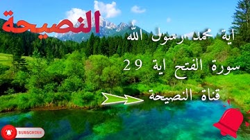 #قران كريم  تلاوة رائعة /اية محمد رسول الله/ سورة الفتح\ اية 29 /قناة النصيحة استوريات / تريح النفس/