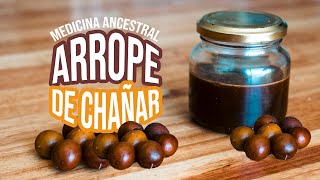 Cómo hacer ARROPE DE CHAÑAR   Alimento ancestral y medicinal del árbol de los mil usos.