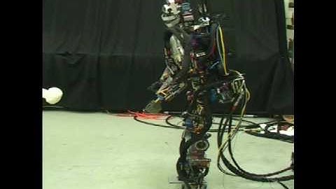 Humanoid Push Recovery