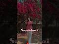 Saudebazi Slowed + Reverb ✨ #shorts