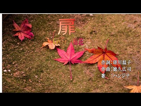 扉　　歌 ハンジナ　　cover　梅花