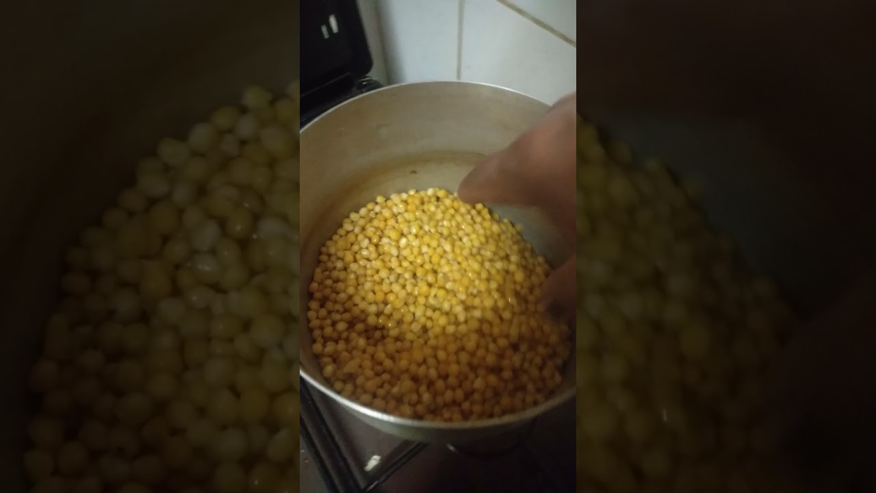 الفطر المحاري 1 تحضير البذور (الميسليوم)