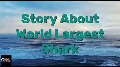 The Megalodon: Unveiling The Ancient Giant