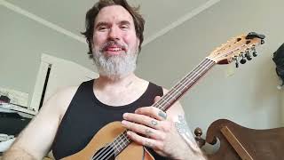 Kala 8-String Baritone Ukelele.  Ok, but not great.