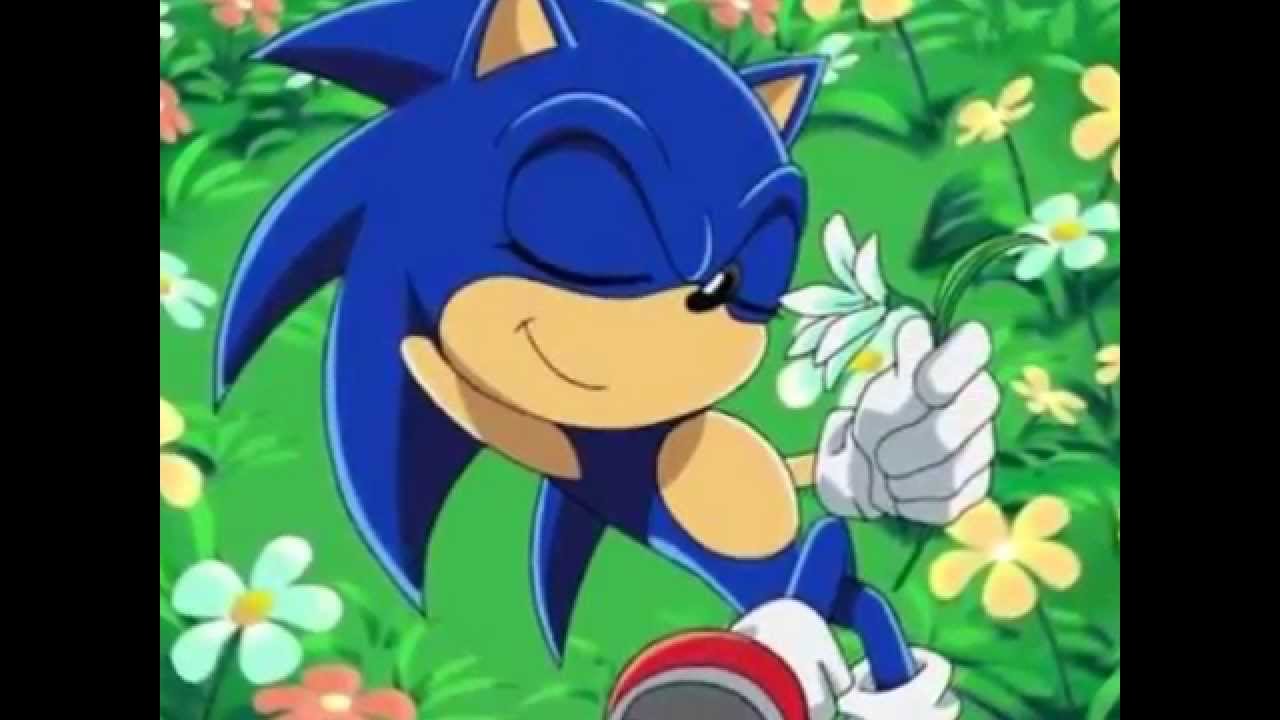 cuando te volvere a ver sonamy