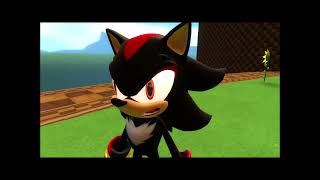 Hedgehogs Do Not Eat Chili Dogs