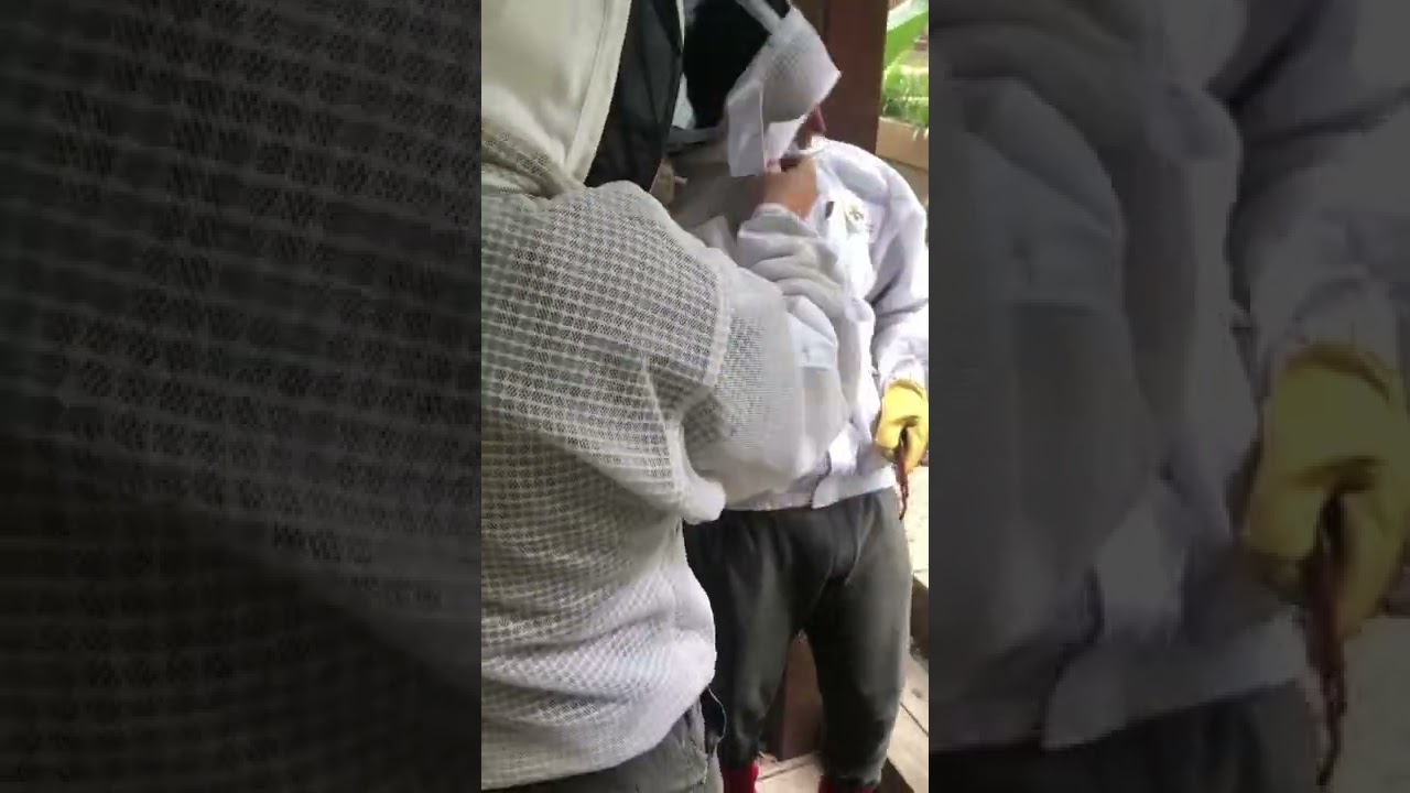 One imbecile beekeeper choked other in bee suit