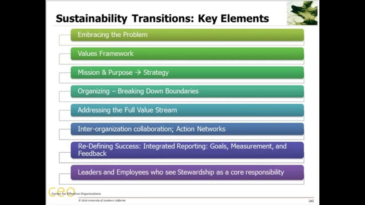 Webinar Corporate Stewardship Achieving Sustainable Effectiveness
