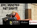 Epic nye monster rat shooting!!