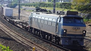 JR貨物 花火とともに現れたゼロロク EF66-24[吹]号機＋コキ20B 貨物列車5091レ
