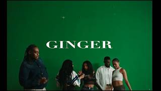 (FREE) Afro/Reggaeton x Rema x Morad Type Beat - Ginger | Guitar Afro Type Beat 2026