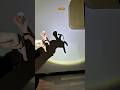 Shadow puppet homeland moon #ziyu#mrbaidancingwithhishand#hometownmoon#ziyushometownmoon#shortvideo
