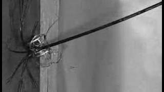 NAC Highspeed Cameras, Arrow HIgh Speed Video