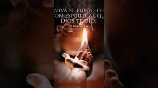2 Timoteo 2:6[6]Y el agricultor que se esfuerza en su trabajo debería ser el primero.