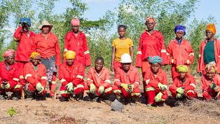 Download lagu The Power of Bamboo: FPDP’s Vision for a Better Future