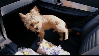 I Cant Believe You Whizzed On My Taco