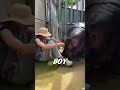 Sad Boy Couldn’t Stop Crying… Until His Hippo Bestie Hugged Him 🥺🦛#animals #shorts