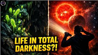 Scientists Found Glowing Green Life in a Dark Cave – This Discovery Could Help Us Find Aliens! 🤯
