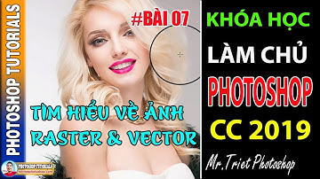 Bài 07: Tìm Hiểu Về Ảnh Raster và Vector 🔴  Làm Chủ Photoshop CC 2019