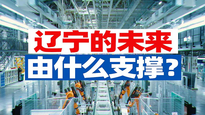 寧南山：東北經濟增長領跑全國，遼寧省的未來能由什麼產業支撐？ - 天天要聞