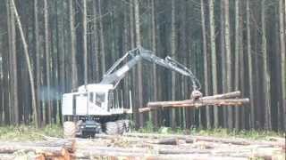 TimberPro 830B forwarder loading pine sawtimber