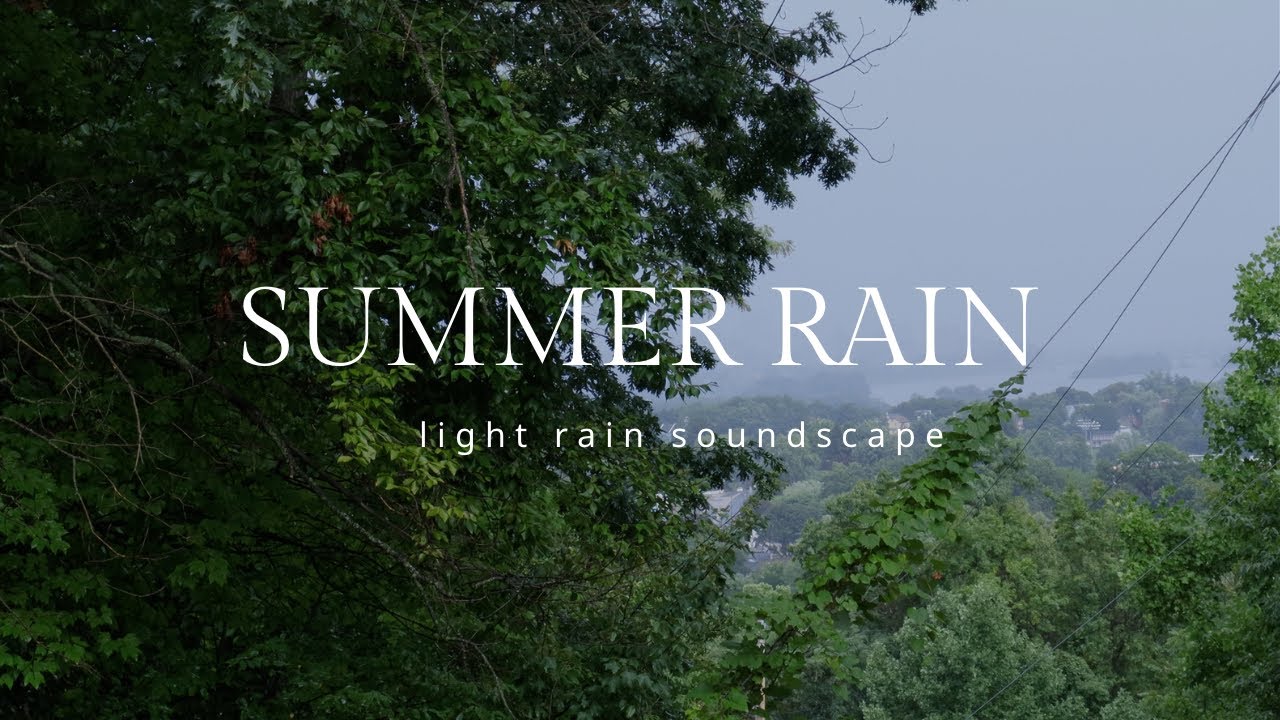 SUMMER RAIN | light rain soundscape