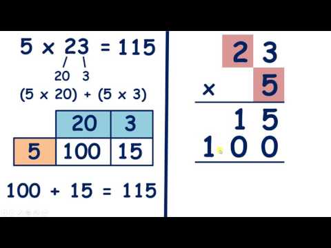 Multiply by a two-digit number using an expanded method