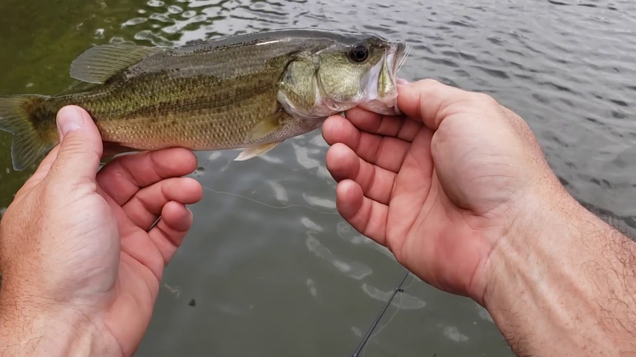 Loose Change Fishing Challenge!