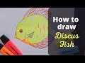How to Draw a Discus Fish - EASY TROPICAL FISH DRAWING | Colour Wheel Arts
