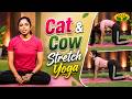 Cat Cow Pose Benefits | Easy Yoga for Beginners | Dhinamum Ennai Gavani | Jaya Tv