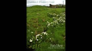 20161017 Tales from Erin: 2. Dobbin's Flowery Vale