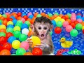 Baby monkey BiBon cools off in the pool with ducklings and plays colorful ball | Animal HT