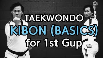 🥋 Taekwondo 1st Gup Kibon (Basic Blocks, Strikes and Thrusts) | TaekwonWoo