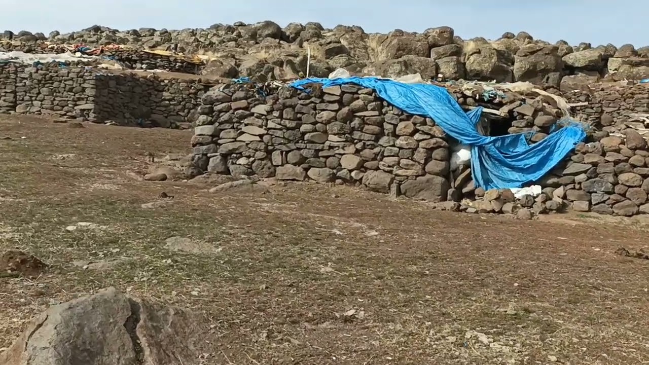 gidenemi kalanamı  zor goma ?