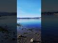 Another gorgeous winter day in the PNW #pnwlife #sinclairinlet #slowliving #beautifulday