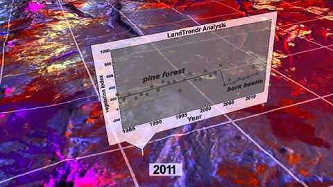 Landsat - a great disturbance in the forest