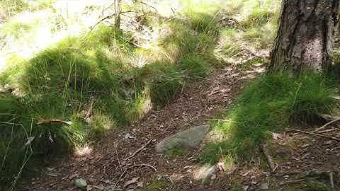 How do you avoid the worst legacy code?