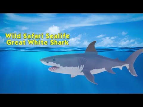safari ltd great white shark