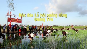 Độc đáo Lễ hội xuống đồng Quảng Yên