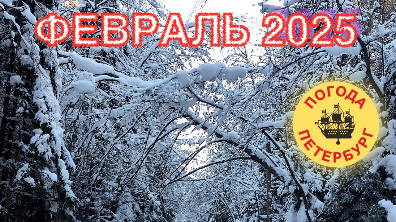 2026.02.02. Погода Петербург. 