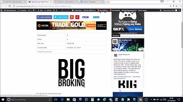 Big Broking - Trade Protector EA - MT4