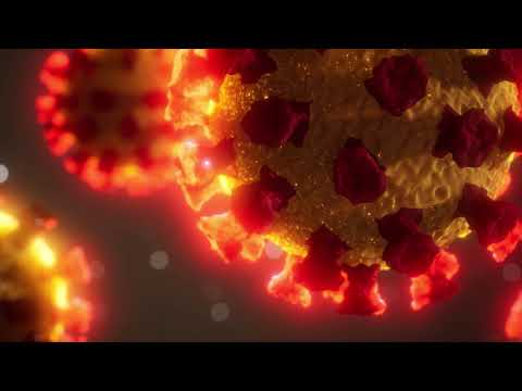 סרטון חזק בנושא 24 שעות גורליות | הרב דניאל זר