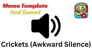 Crickets Awkward Silence Meme Sound Effect