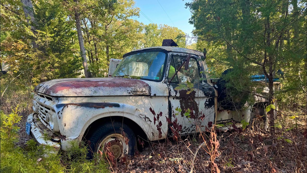 Заброшенный Ford F250 Y-Block, простаивающий с 1980-х годов — на ходу ли он?