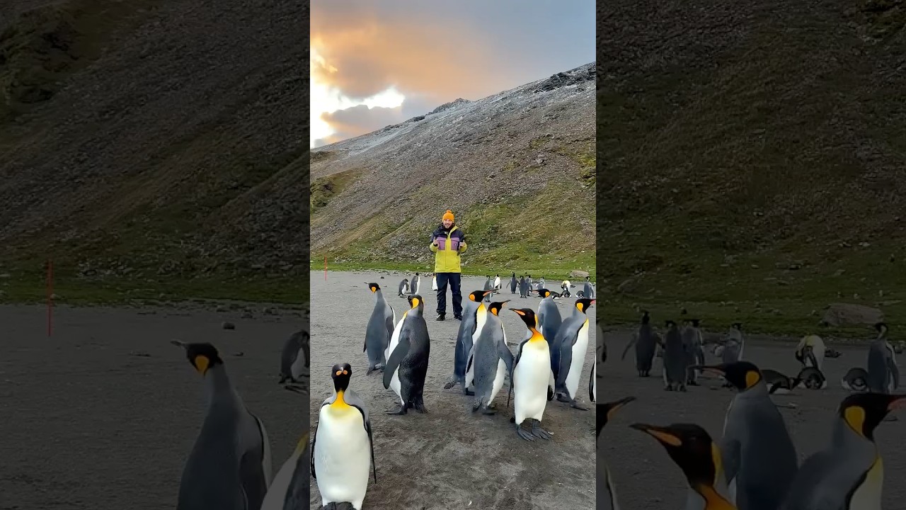 ⁣٣٥ يوم في السفينة الموبوءة إلى جنان الأرض 😍