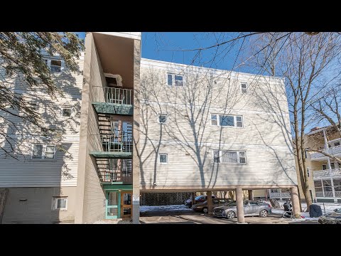 478 Putnam Avenue 4, Cambridge, MA home video tour