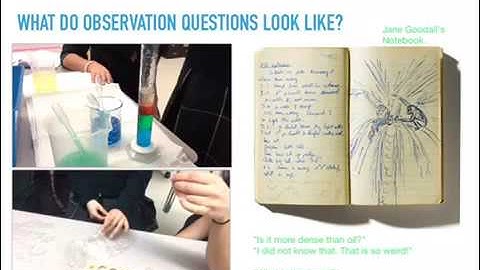 Asking Questions & Defining Problems NGSS