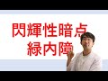 閃輝暗点 緑内障